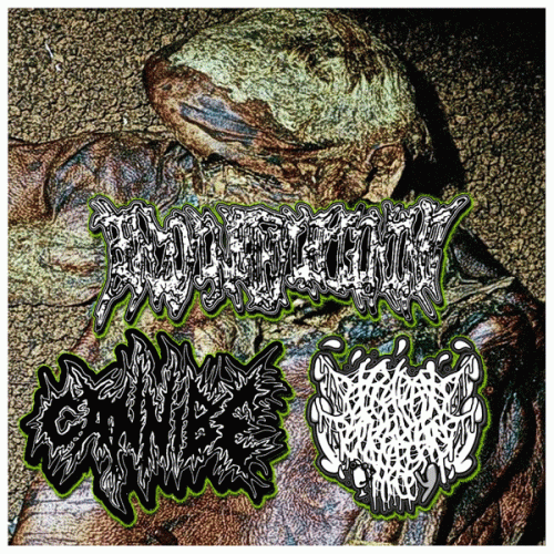 Benzoylmethylecgonine : Benzoylmethylecgonine - Cannibe - Bizarre Bukkake Party